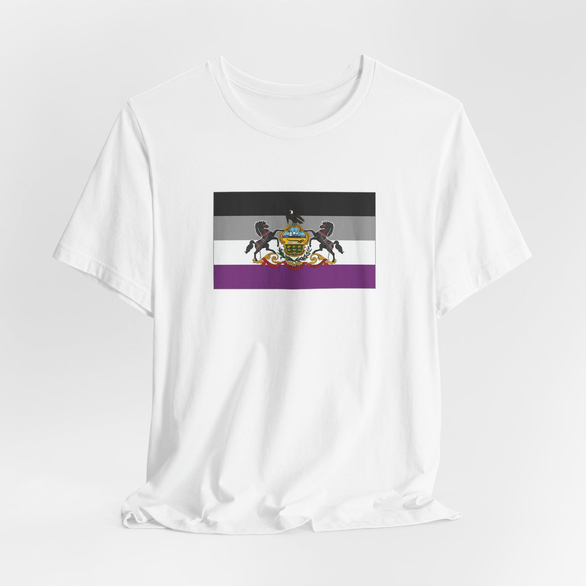 Pennsylvania Asexual Pride Flag T-shirt, Several Color Options