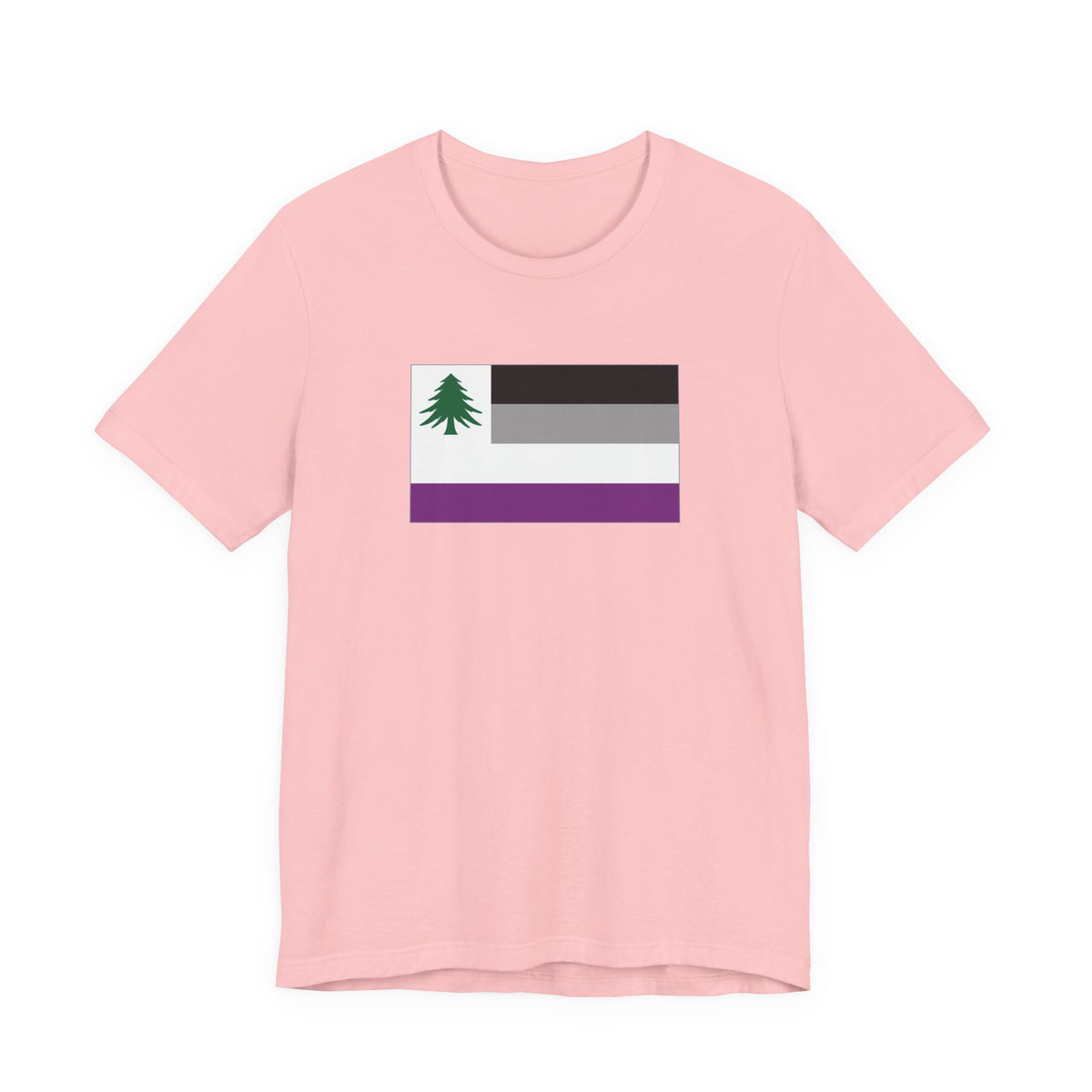 New England Asexual Pride Flag T-shirt, Several Color Options