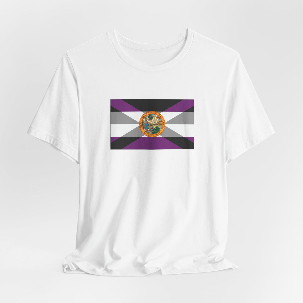 Florida Asexual Pride Flag T-shirt, Several Color Options