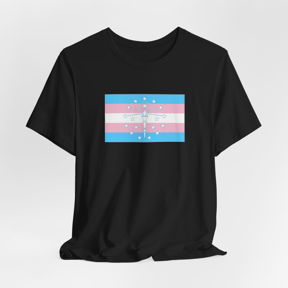 Indiana Transgender Pride Flag T-shirt, Several Color Options