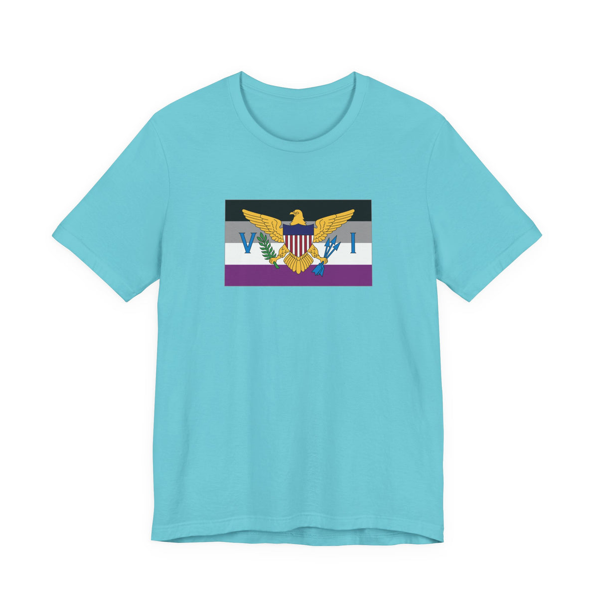 U.S. Virgin Islands Asexual Pride Flag T-shirt, Several Color Options