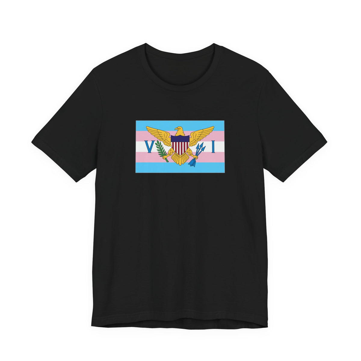U.S. Virgin Islands Transgender Pride Flag T-shirt, Several Color Options