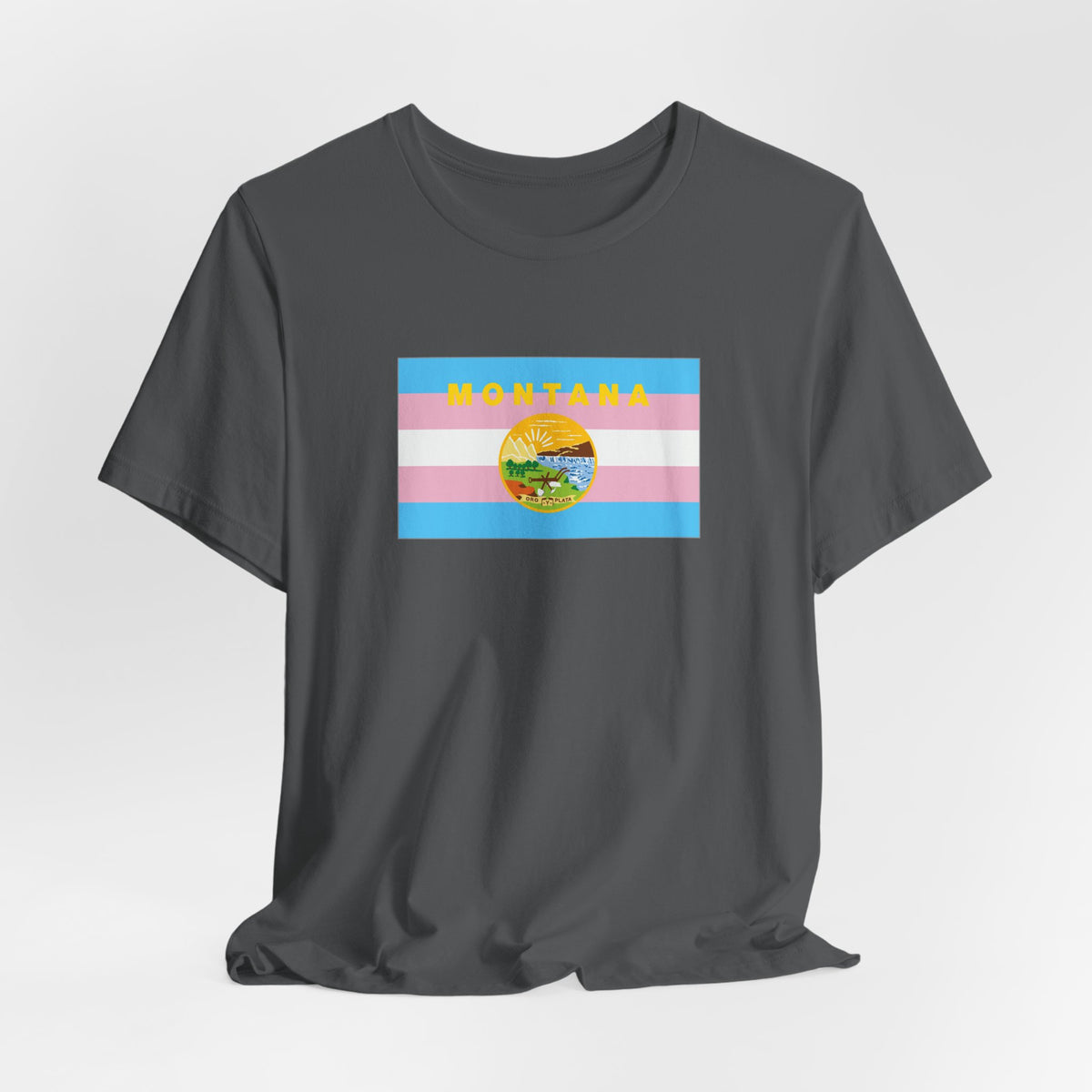 Montana Transgender Pride Flag T-shirt, Several Color Options