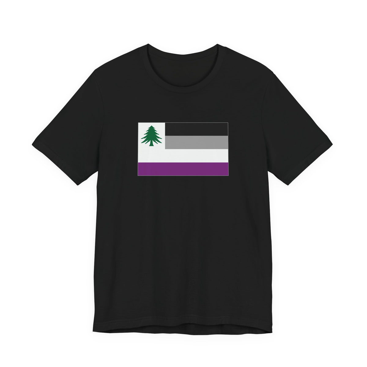 New England Asexual Pride Flag T-shirt, Several Color Options