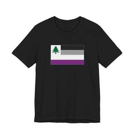 New England Asexual Pride Flag T-shirt, Several Color Options