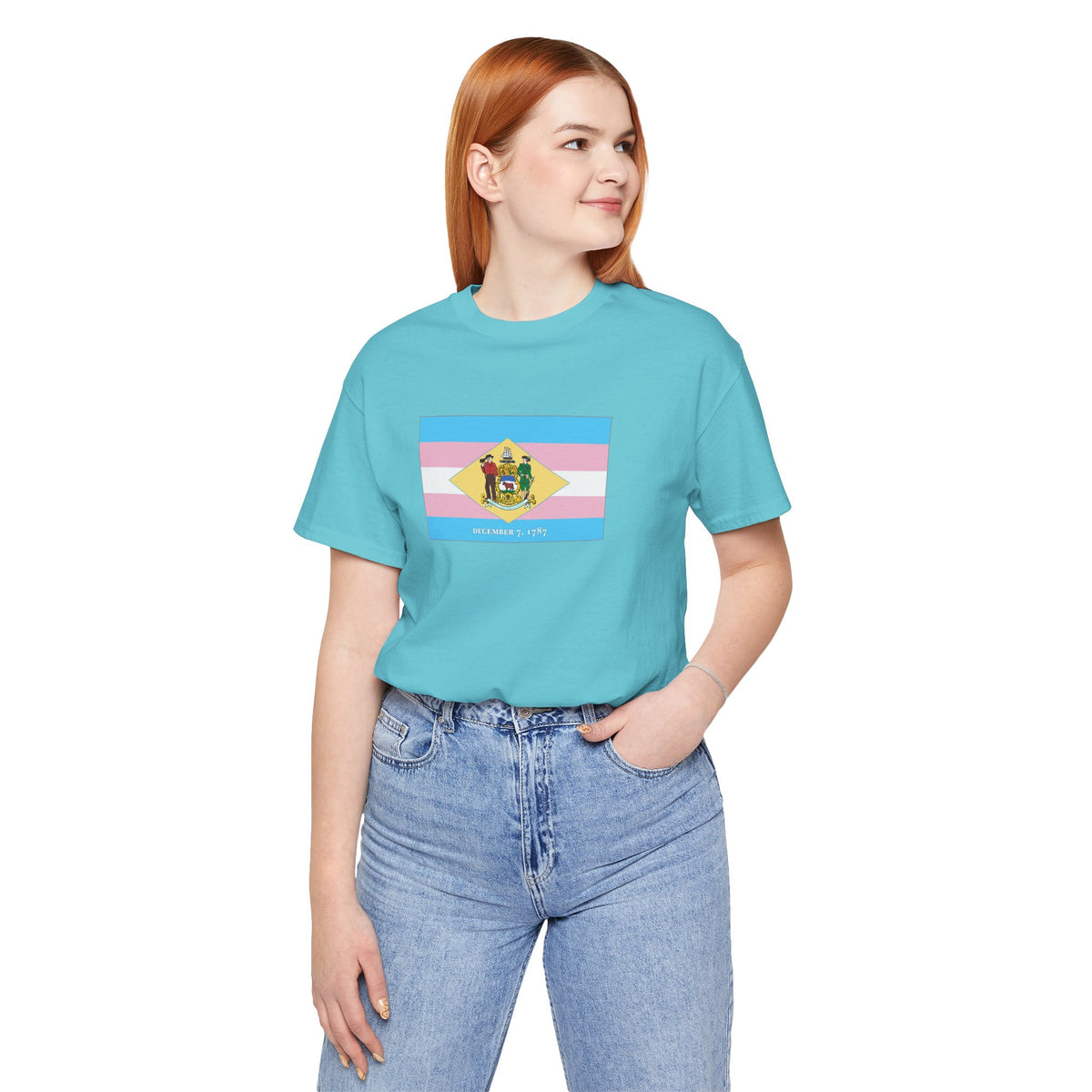 Delaware Transgender Pride Flag T-shirt, Several Color Options
