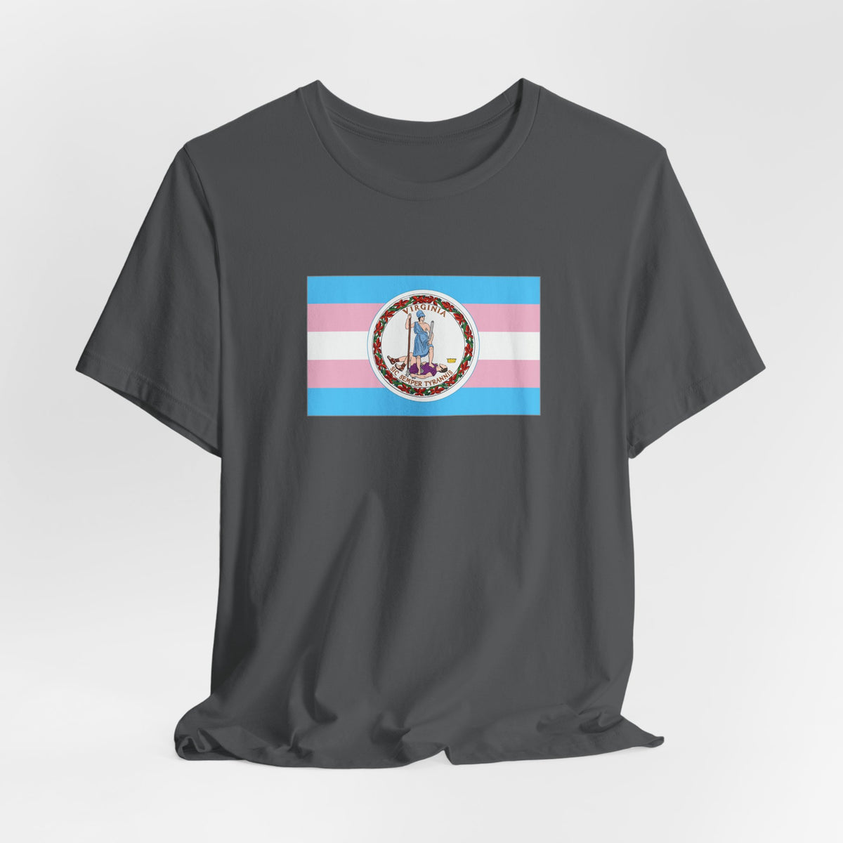 Virginia Transgender Pride Flag T-shirt, Several Color Options
