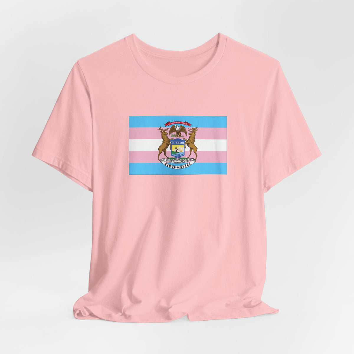 Michigan Transgender Pride Flag T-shirt, Several Color Options