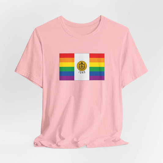 San Diego, California Rainbow Pride Flag T-shirt, Several Color Options