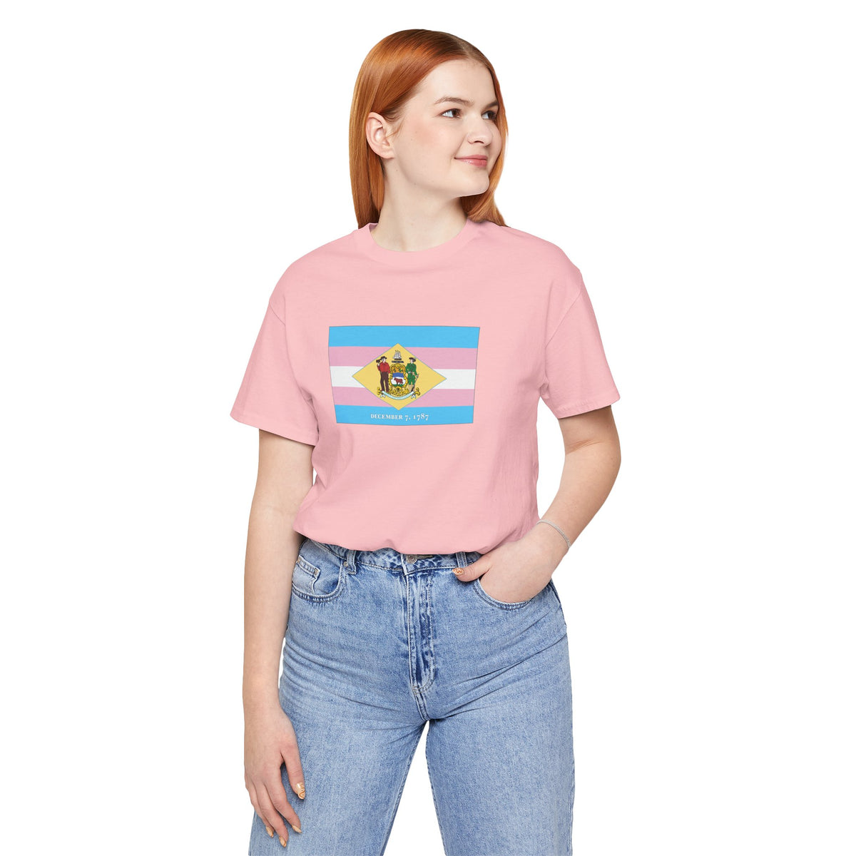 Delaware Transgender Pride Flag T-shirt, Several Color Options