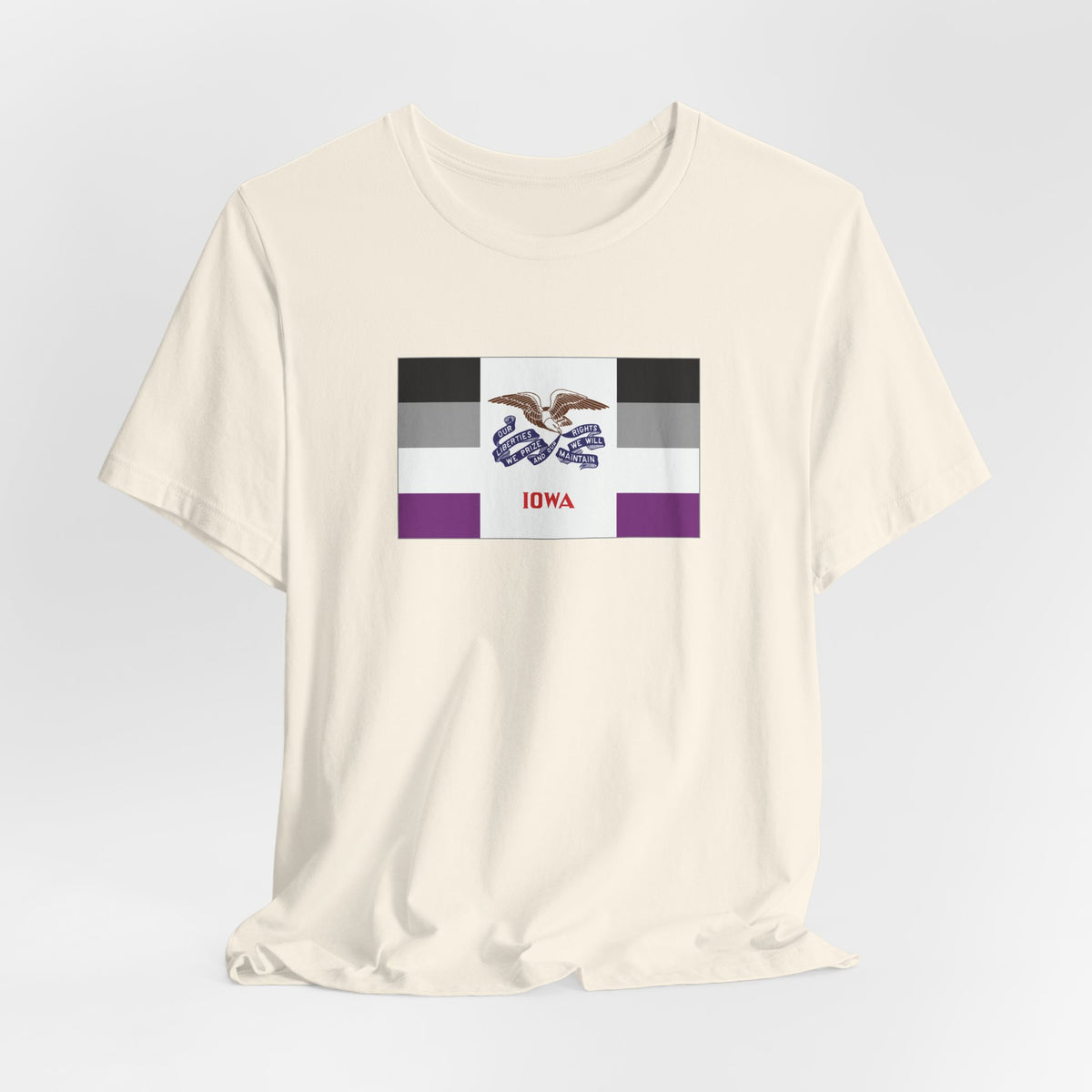 Iowa Asexual Pride Flag T-shirt, Several Color Options