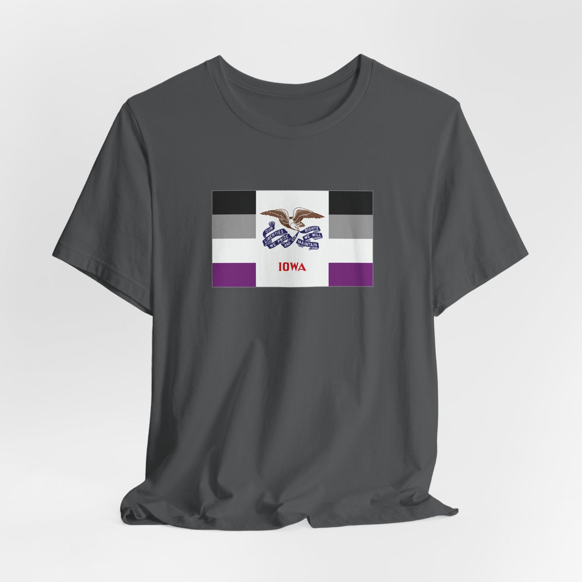 Iowa Asexual Pride Flag T-shirt, Several Color Options