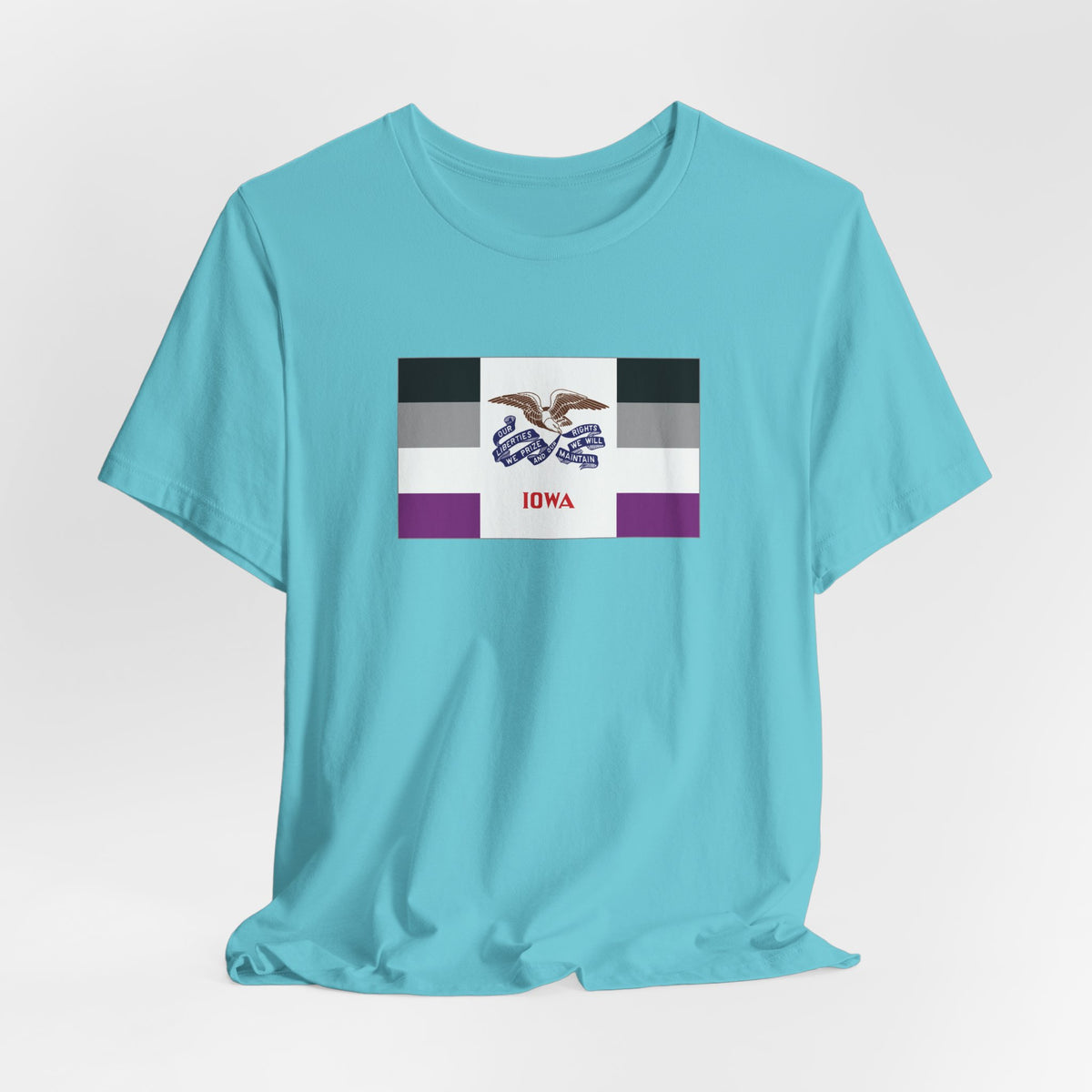 Iowa Asexual Pride Flag T-shirt, Several Color Options