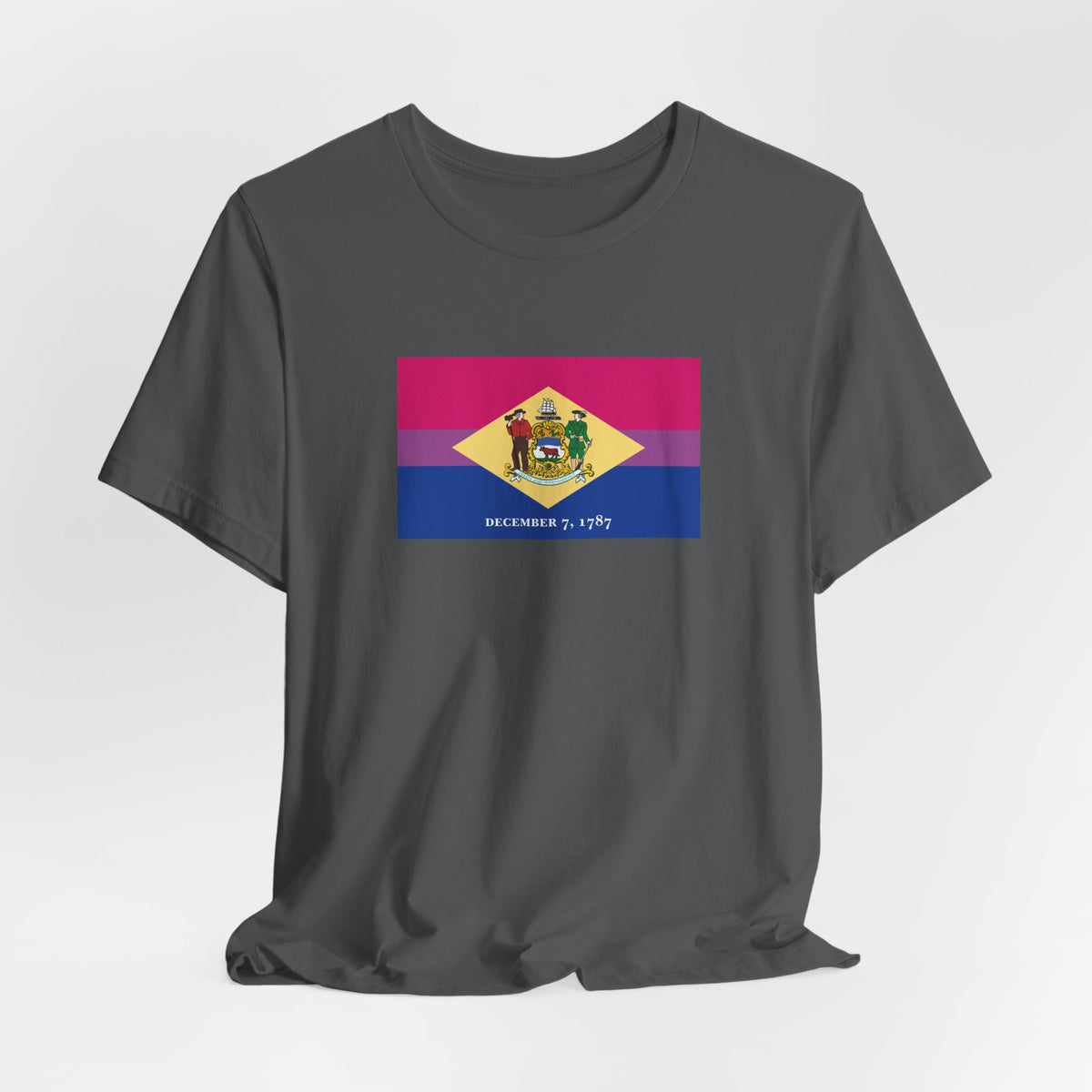 Delaware Bisexual Pride Flag T-shirt, Several Color Options