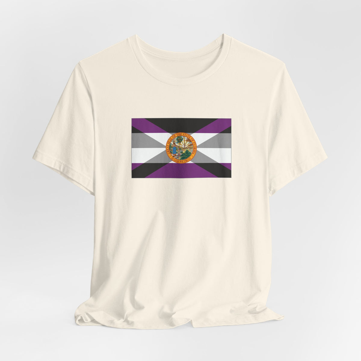 Florida Asexual Pride Flag T-shirt, Several Color Options