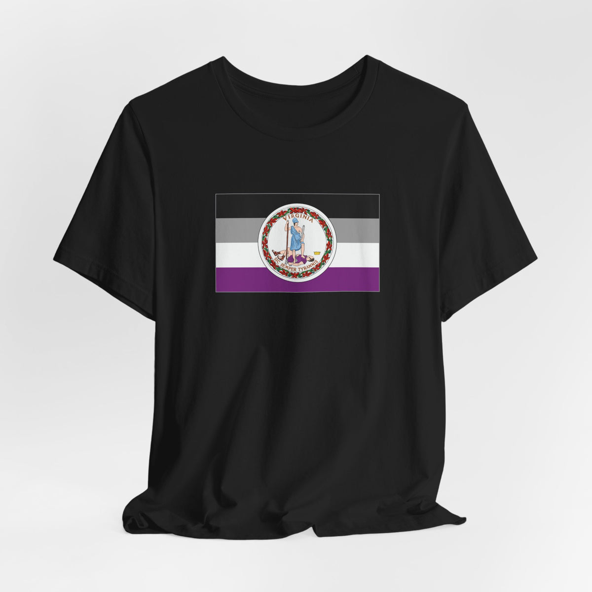 Virginia Asexual Pride Flag T-shirt, Several Color Options