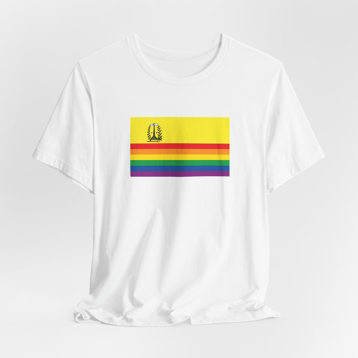 Marigot, Saint Martin Rainbow Pride Flag T-shirt, Several Color Options