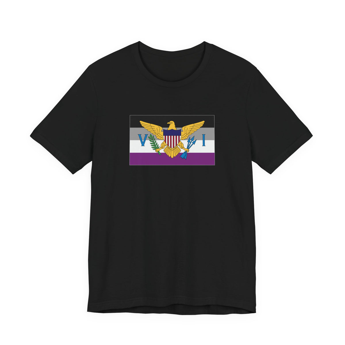 U.S. Virgin Islands Asexual Pride Flag T-shirt, Several Color Options