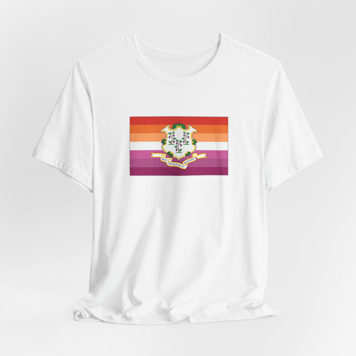 Connecticut Lesbian Pride Flag T-shirt, Several Color Options