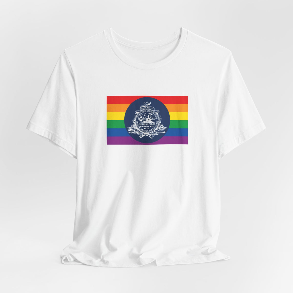 Charleston, South Carolina Rainbow Pride Flag T-shirt, Several Color Options