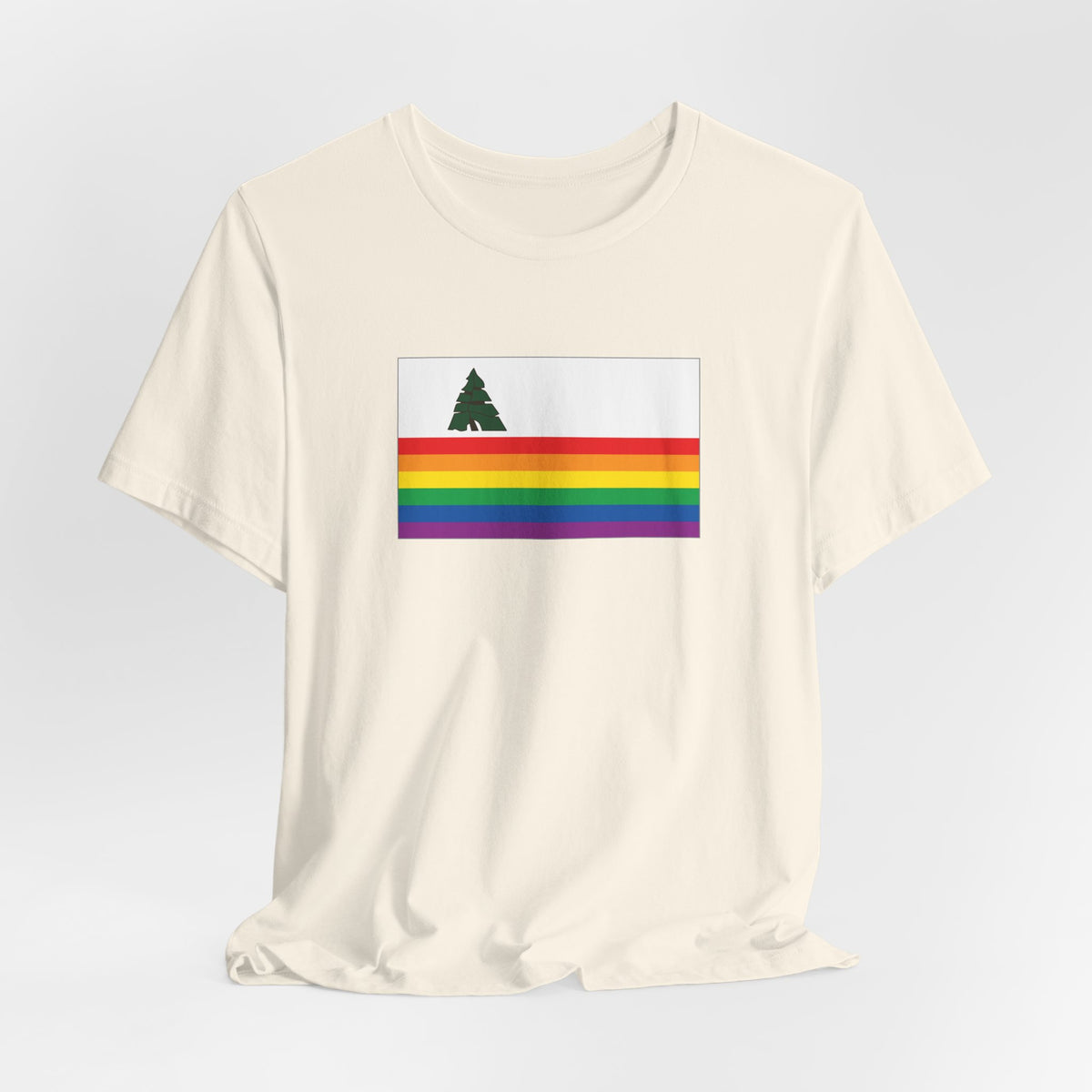 Santa Cruz, California Rainbow Pride Flag T-shirt, Several Color Options