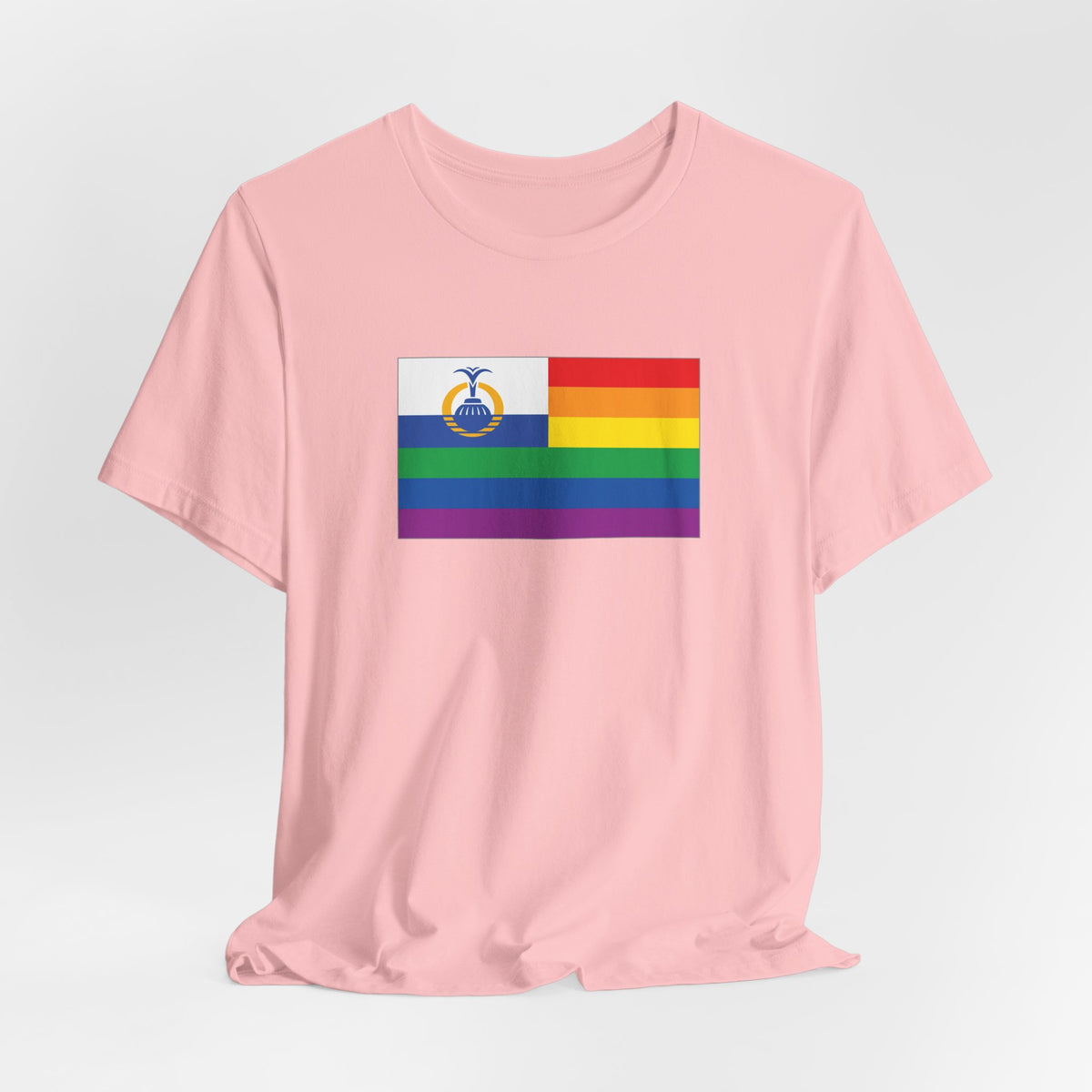 Orlando, Florida Rainbow Pride Flag T-shirt, Several Color Options