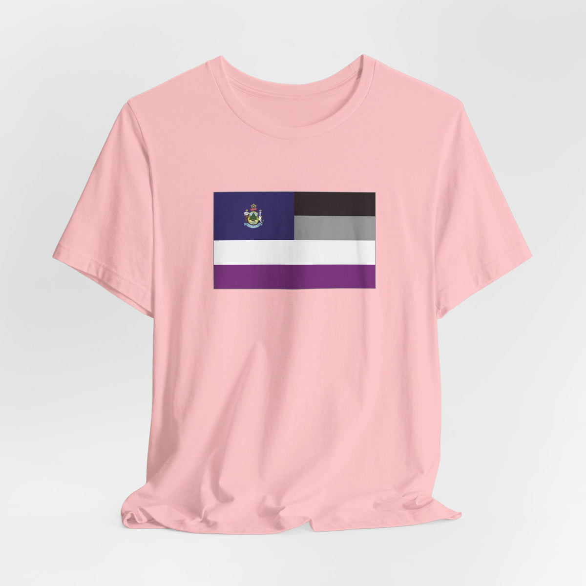 Maine Asexual Pride Flag T-shirt, Several Color Options