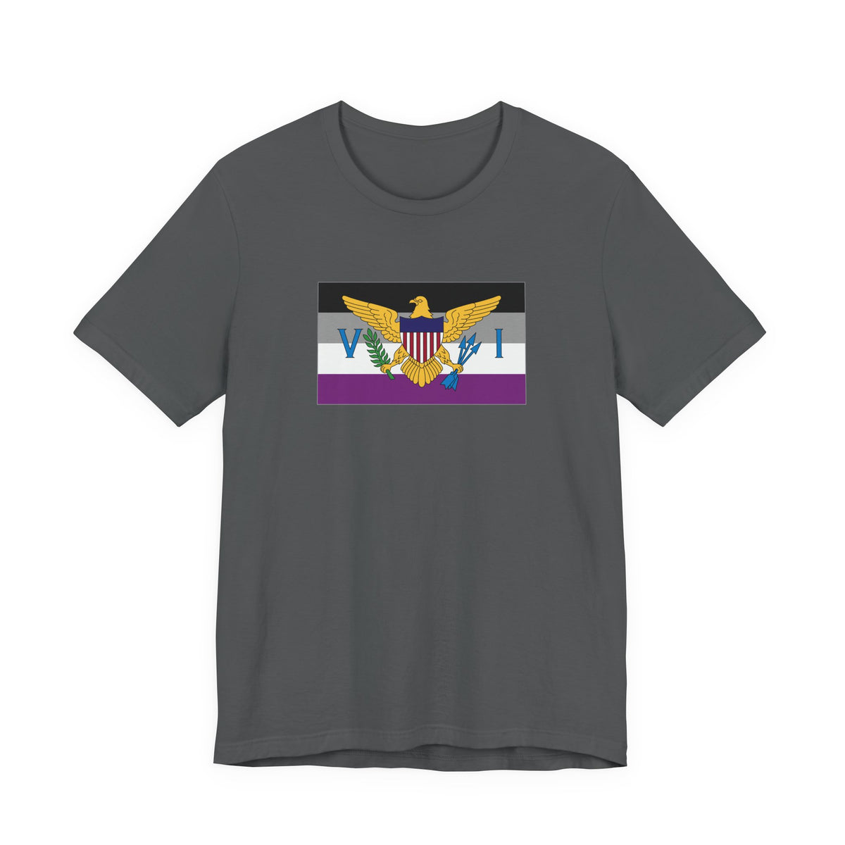 U.S. Virgin Islands Asexual Pride Flag T-shirt, Several Color Options
