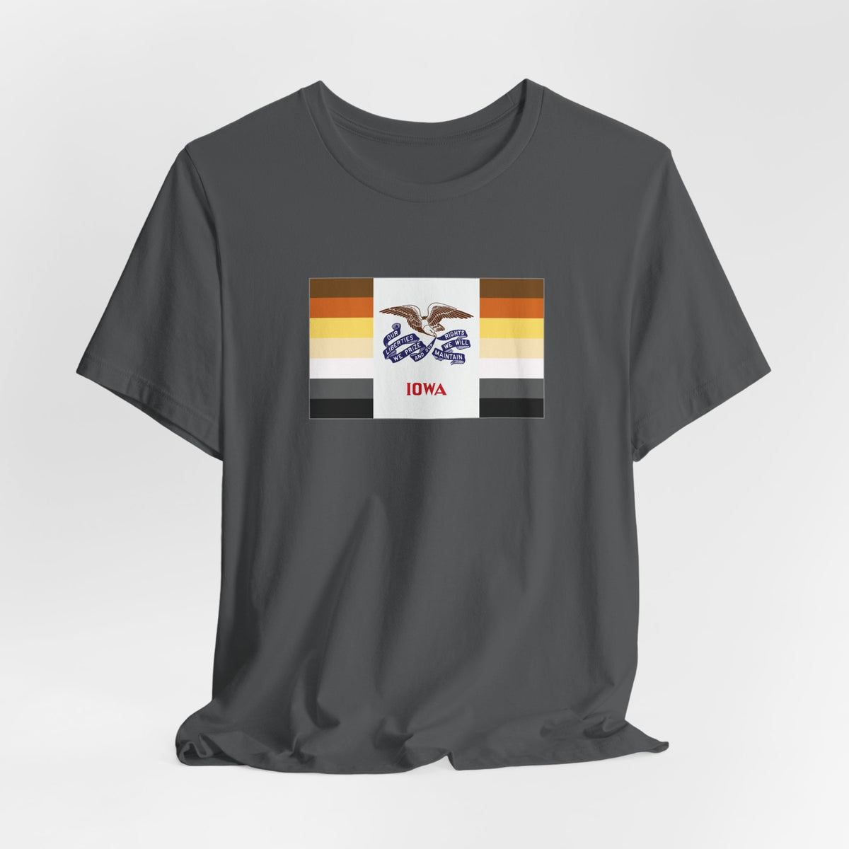 Iowa Bear Pride Flag T-shirt, Several Color Options