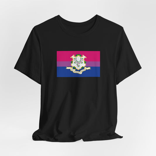 Connecticut Bisexual Pride Flag T-shirt, Several Color Options