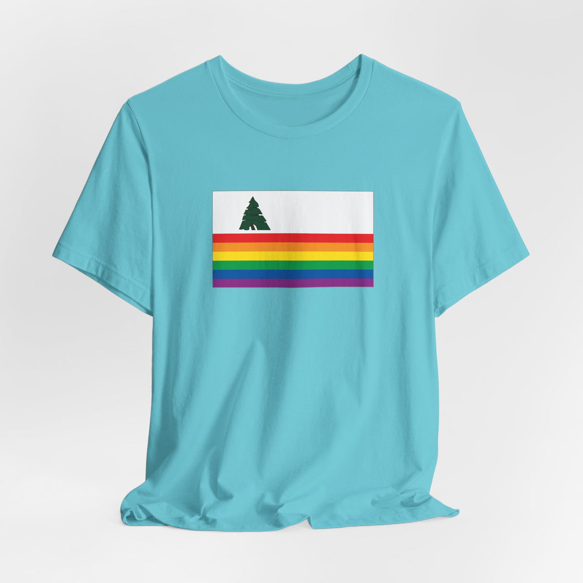 Santa Cruz, California Rainbow Pride Flag T-shirt, Several Color Options