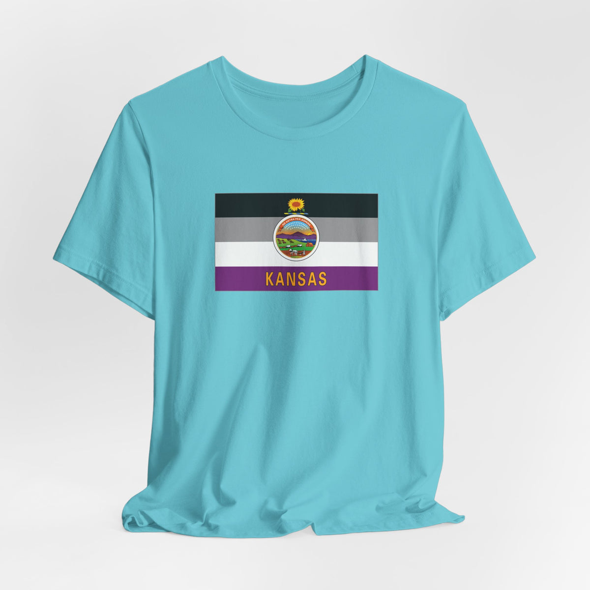 Kansas Asexual Pride Flag T-shirt, Several Color Options