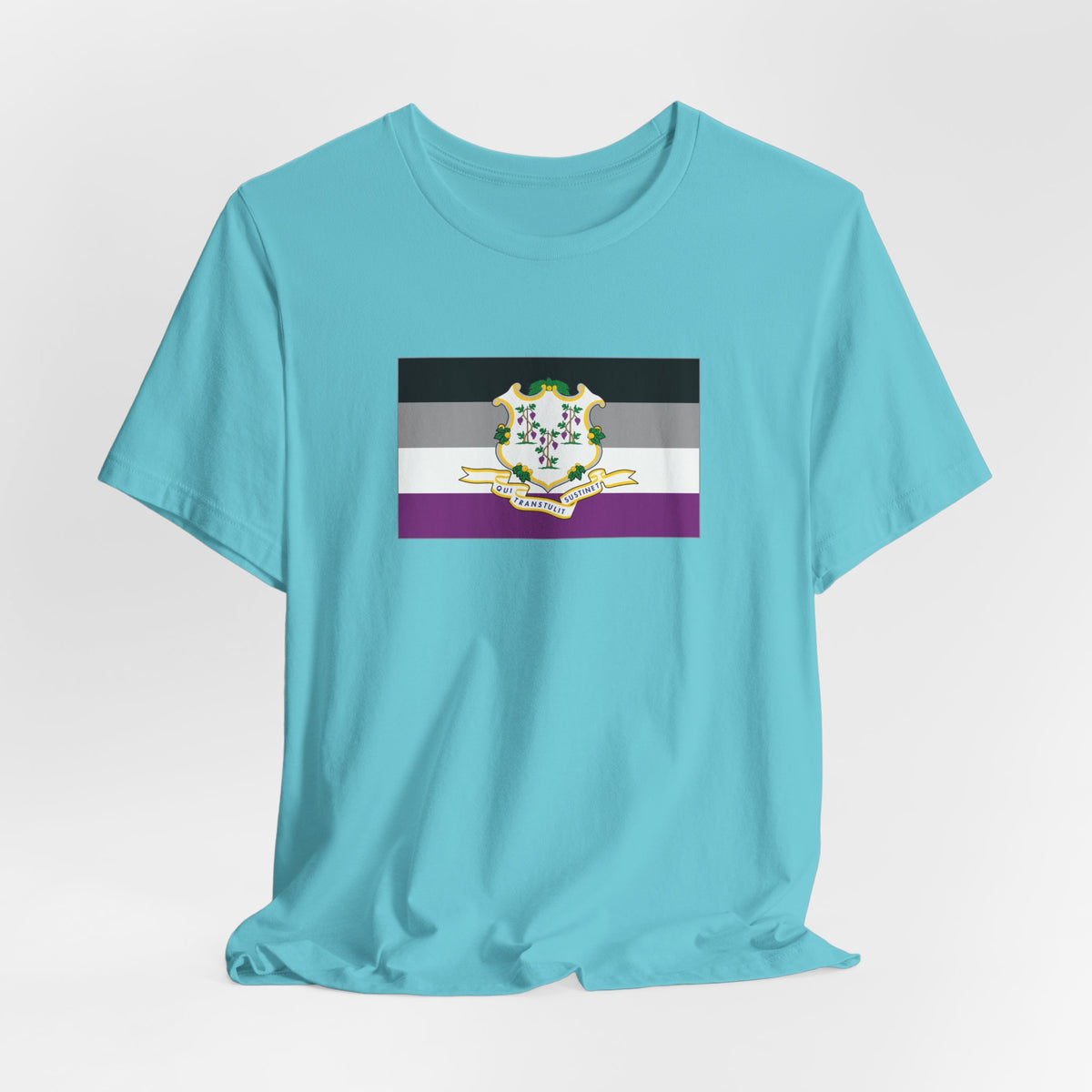 Connecticut Asexual Pride Flag T-shirt, Several Color Options