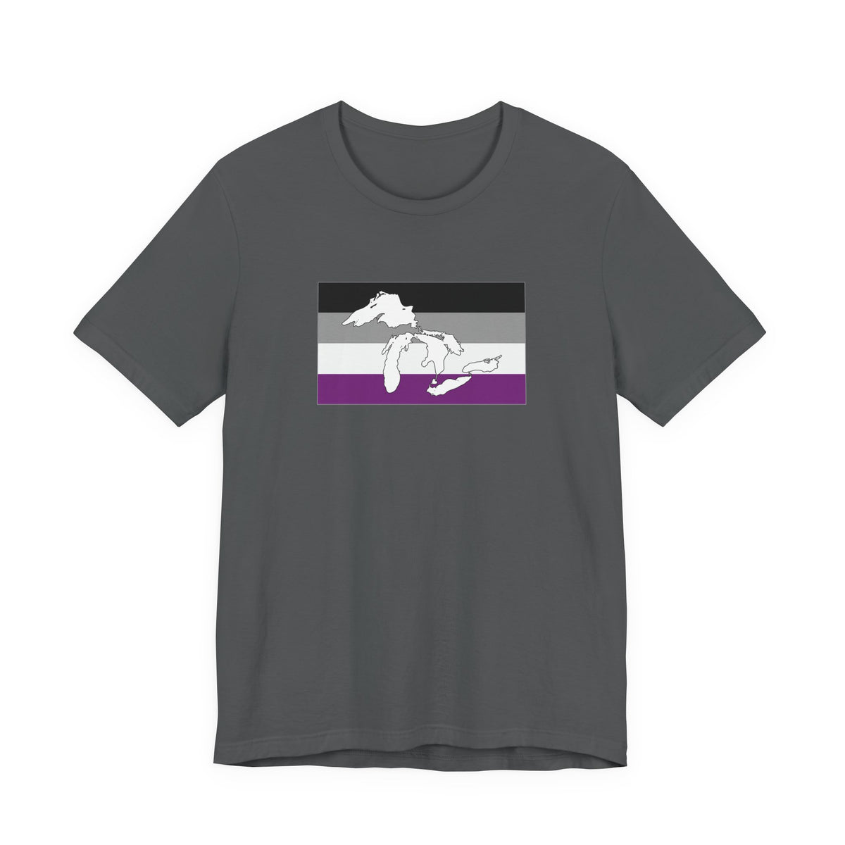 Great Lakes Region Asexual Pride Flag T-shirt, Several Color Options