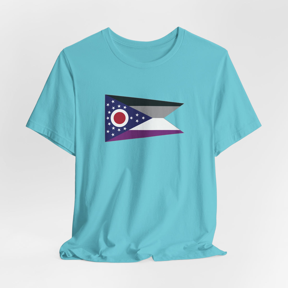 Ohio Asexual Pride Flag T-shirt, Several Color Options