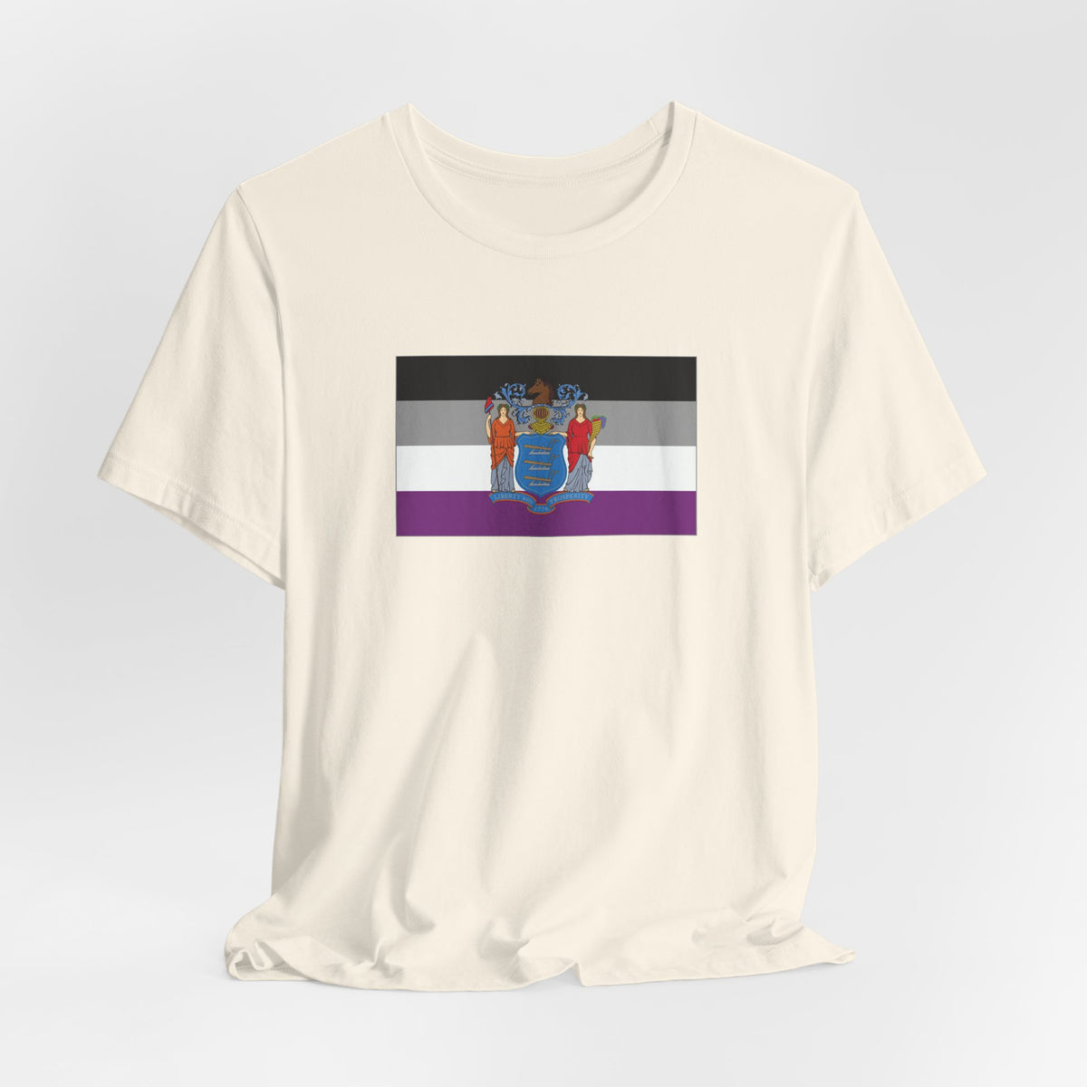 New Jersey Asexual Pride Flag T-shirt, Several Color Options