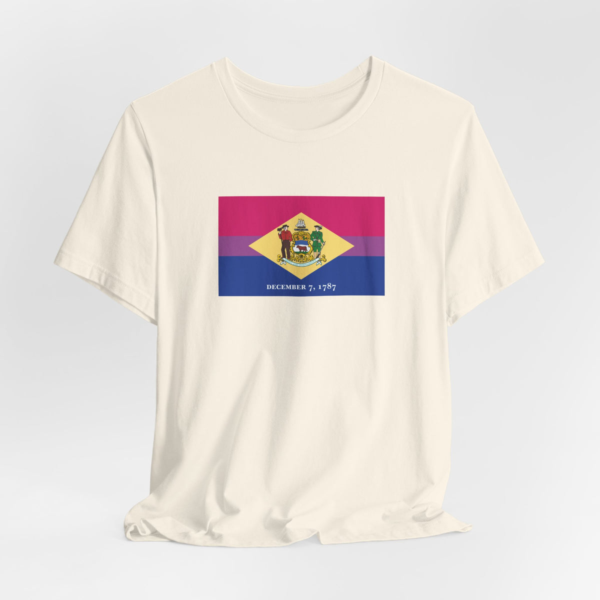 Delaware Bisexual Pride Flag T-shirt, Several Color Options