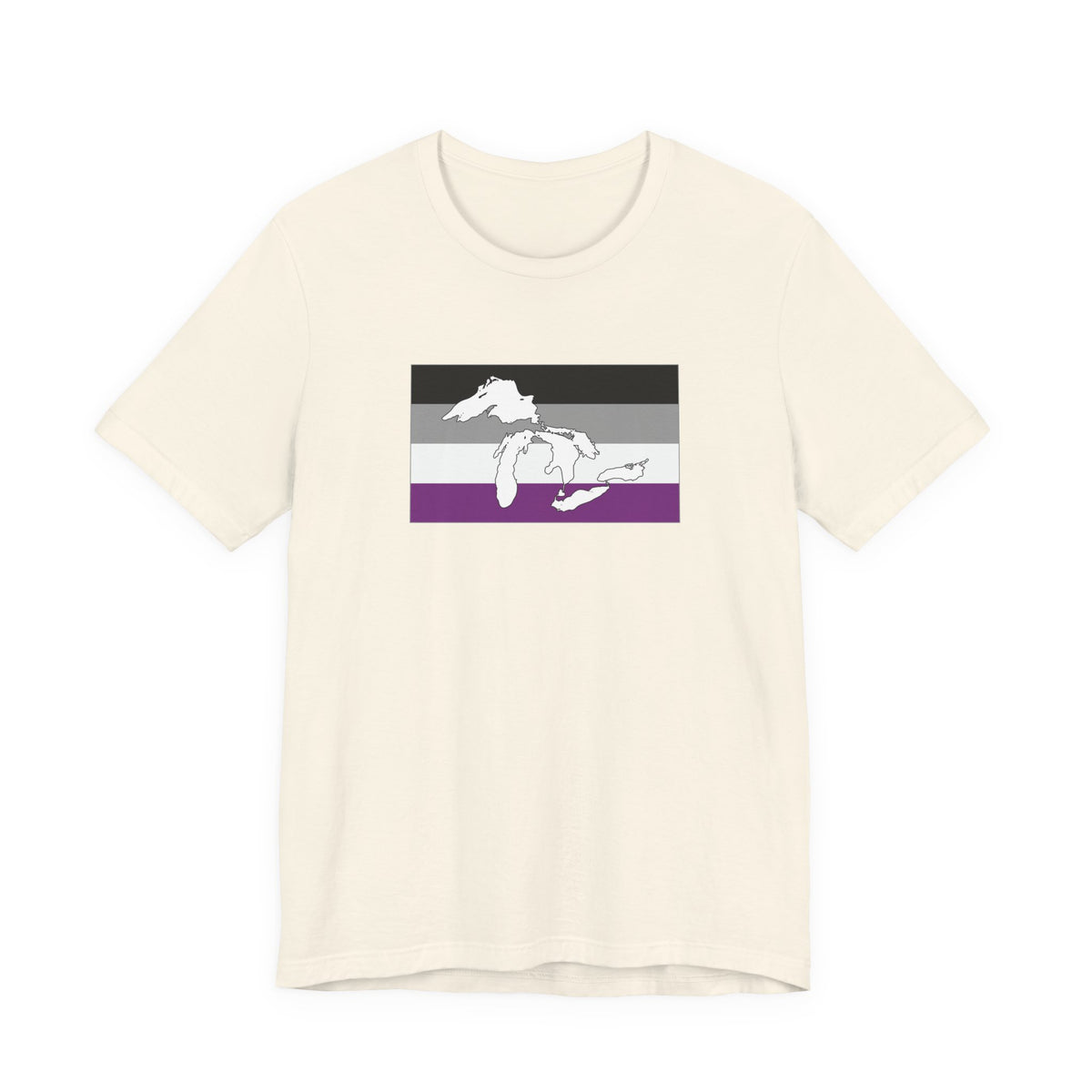 Great Lakes Region Asexual Pride Flag T-shirt, Several Color Options