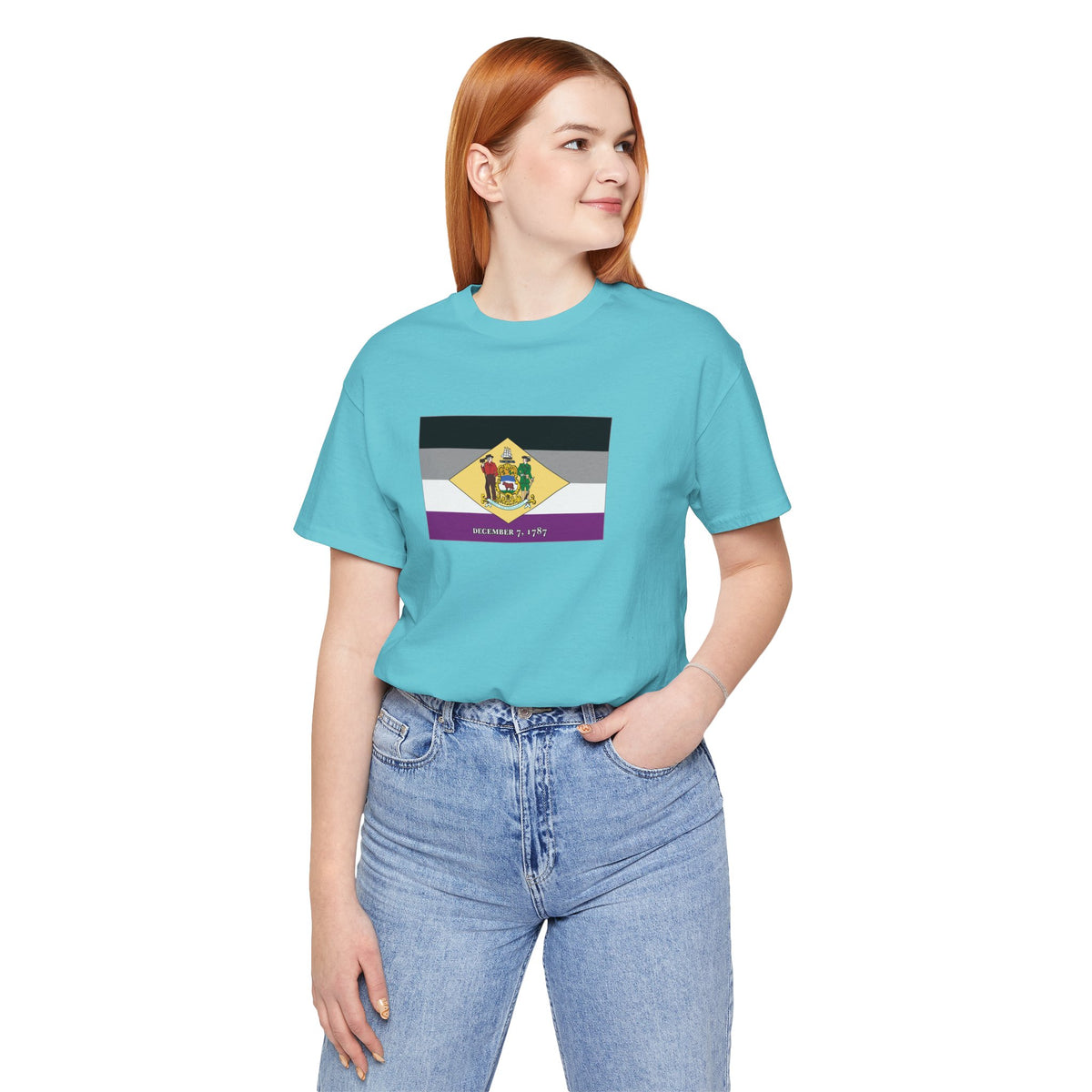 Delaware Asexual Pride Flag T-shirt, Several Color Options