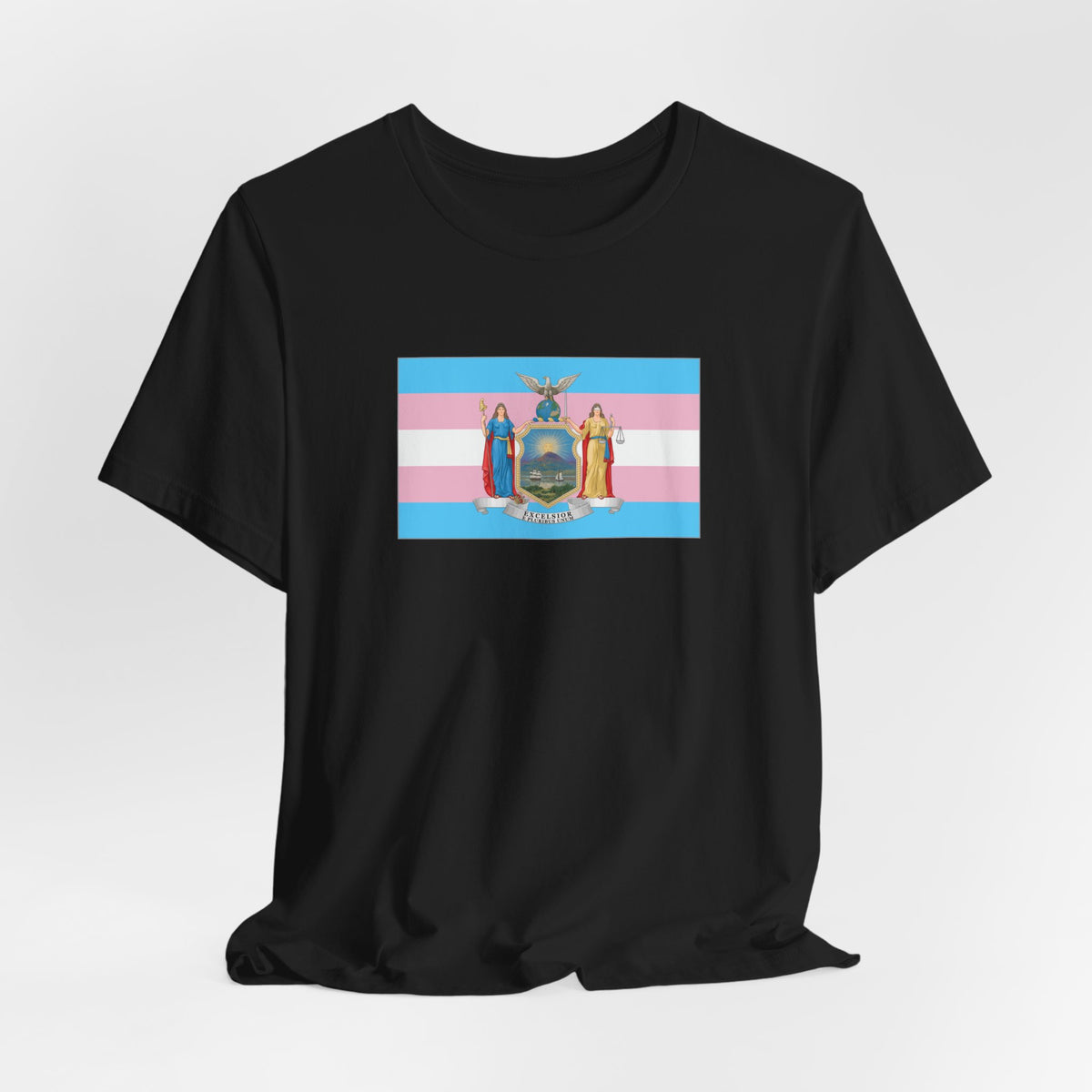 New York Transgender Pride Flag T-shirt, Several Color Options