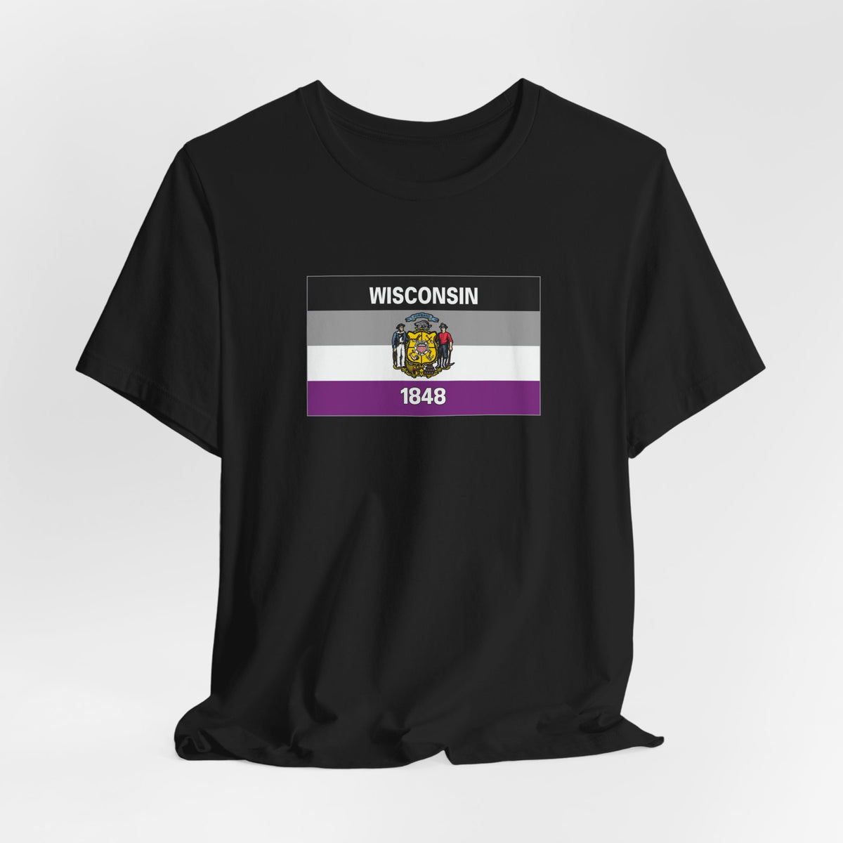 Wisconsin Asexual Pride Flag T-shirt, Several Color Options
