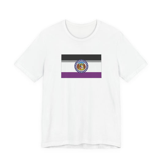 Missouri Asexual Pride Flag T-shirt, Several Color Options