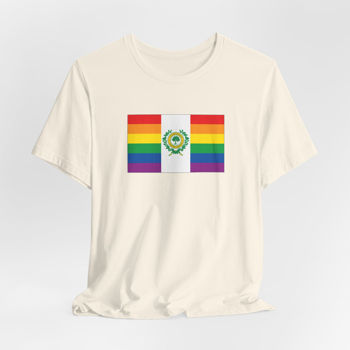 Raleigh, North Carolina Rainbow Pride Flag T-shirt, Several Color Options