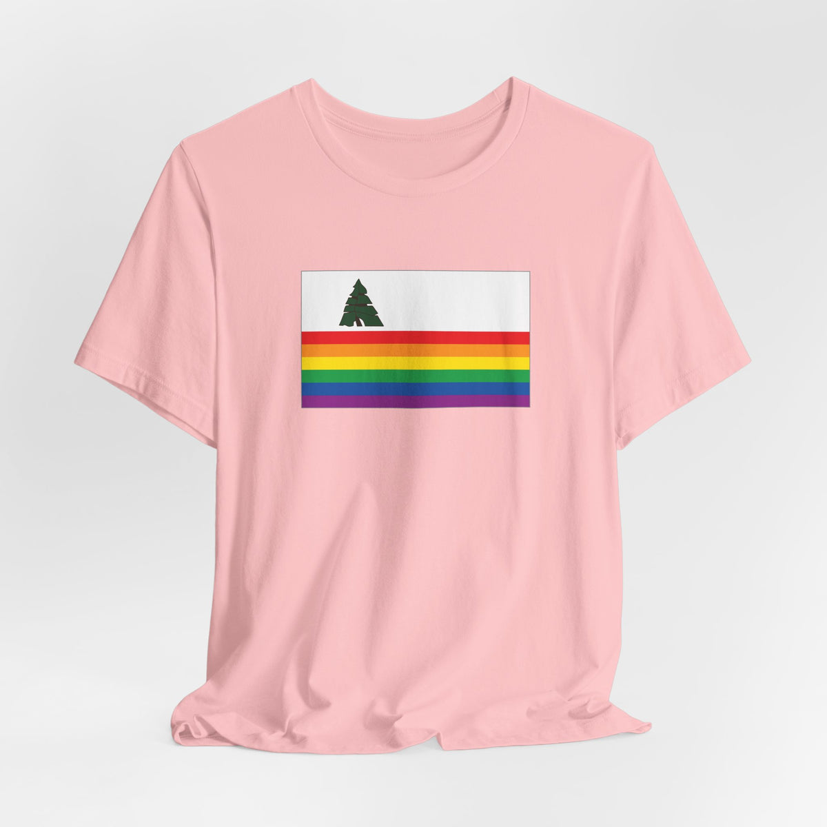 Santa Cruz, California Rainbow Pride Flag T-shirt, Several Color Options