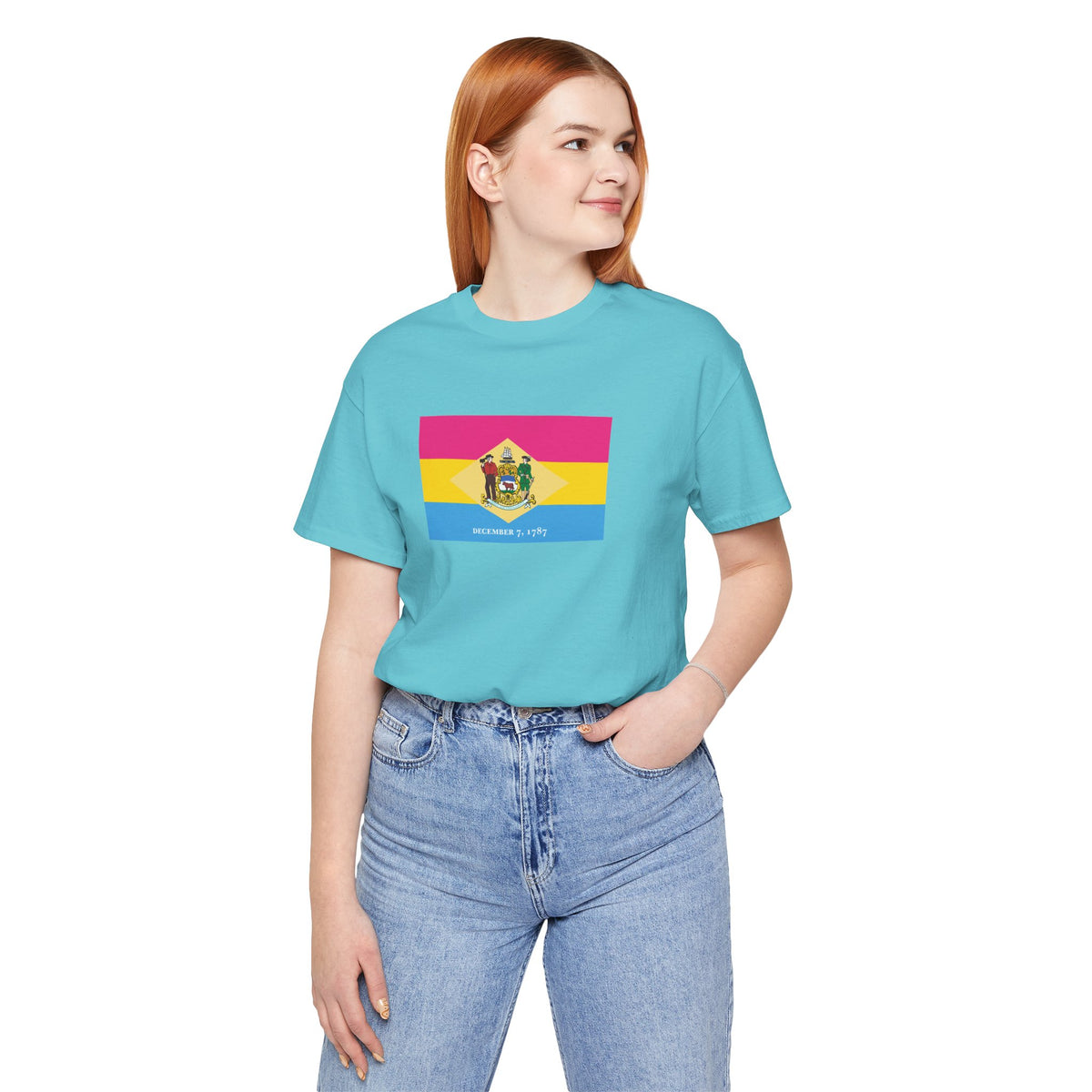 Delaware Pansexual Pride Flag T-shirt, Several Color Options