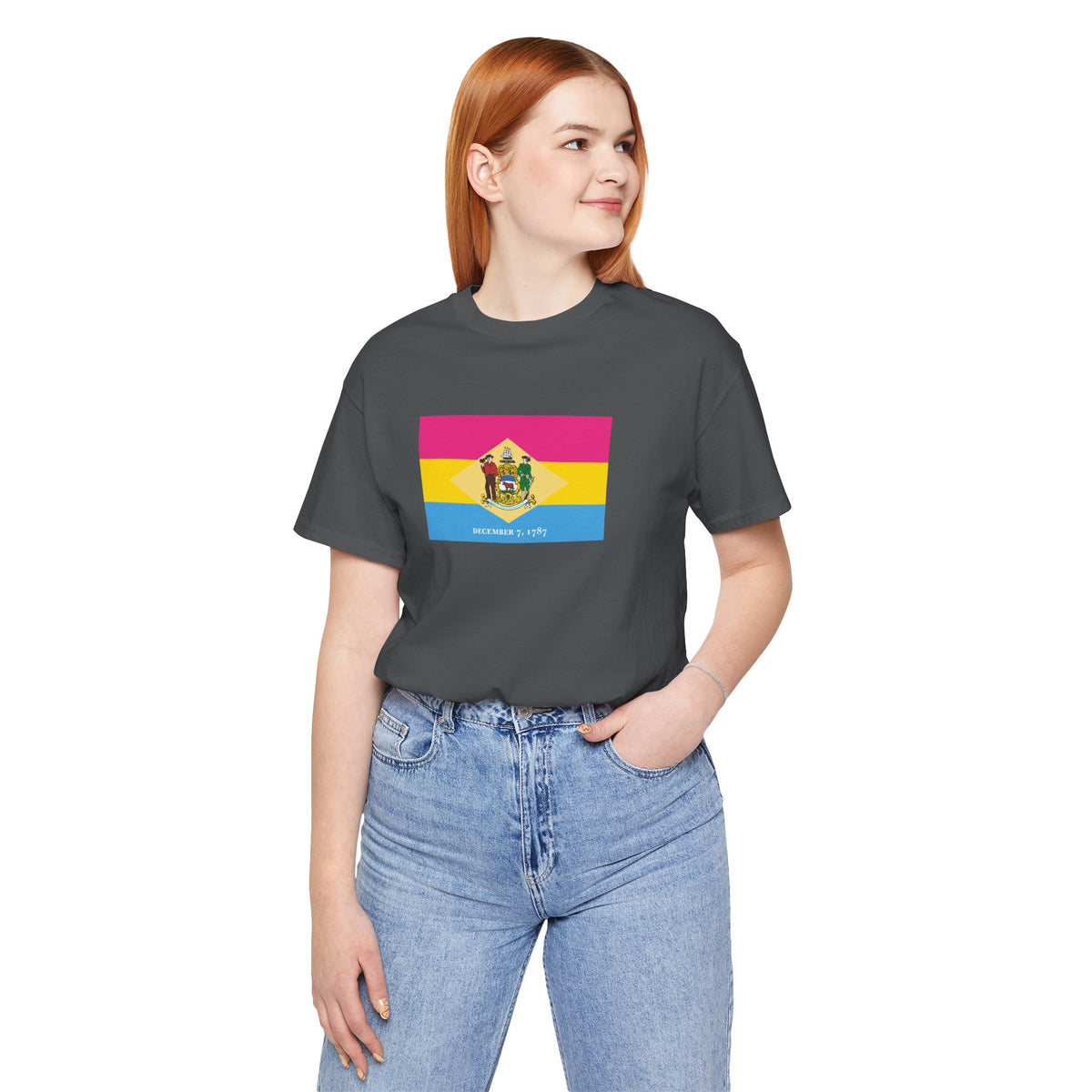 Delaware Pansexual Pride Flag T-shirt, Several Color Options