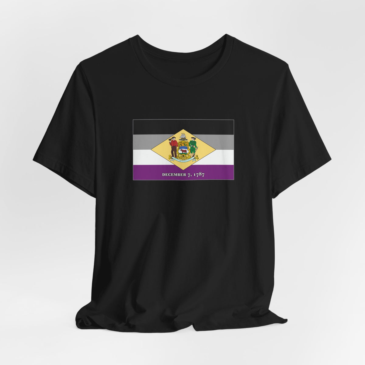 Delaware Asexual Pride Flag T-shirt, Several Color Options