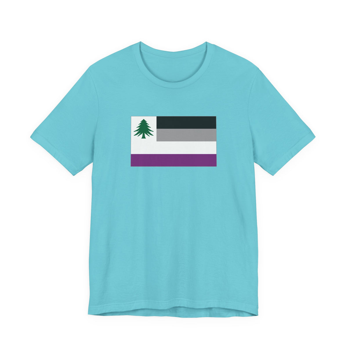 New England Asexual Pride Flag T-shirt, Several Color Options