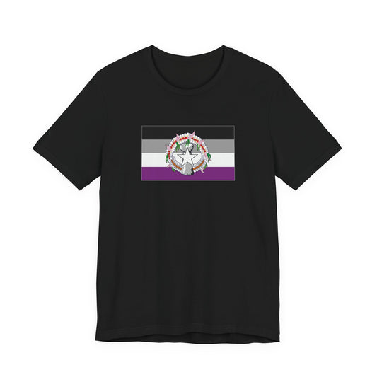 Northern Mariana Islands Asexual Pride Flag T-shirt, Several Color Options