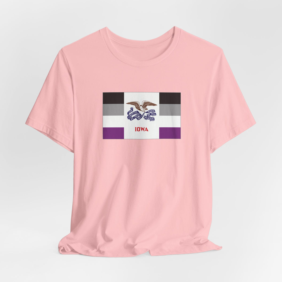Iowa Asexual Pride Flag T-shirt, Several Color Options